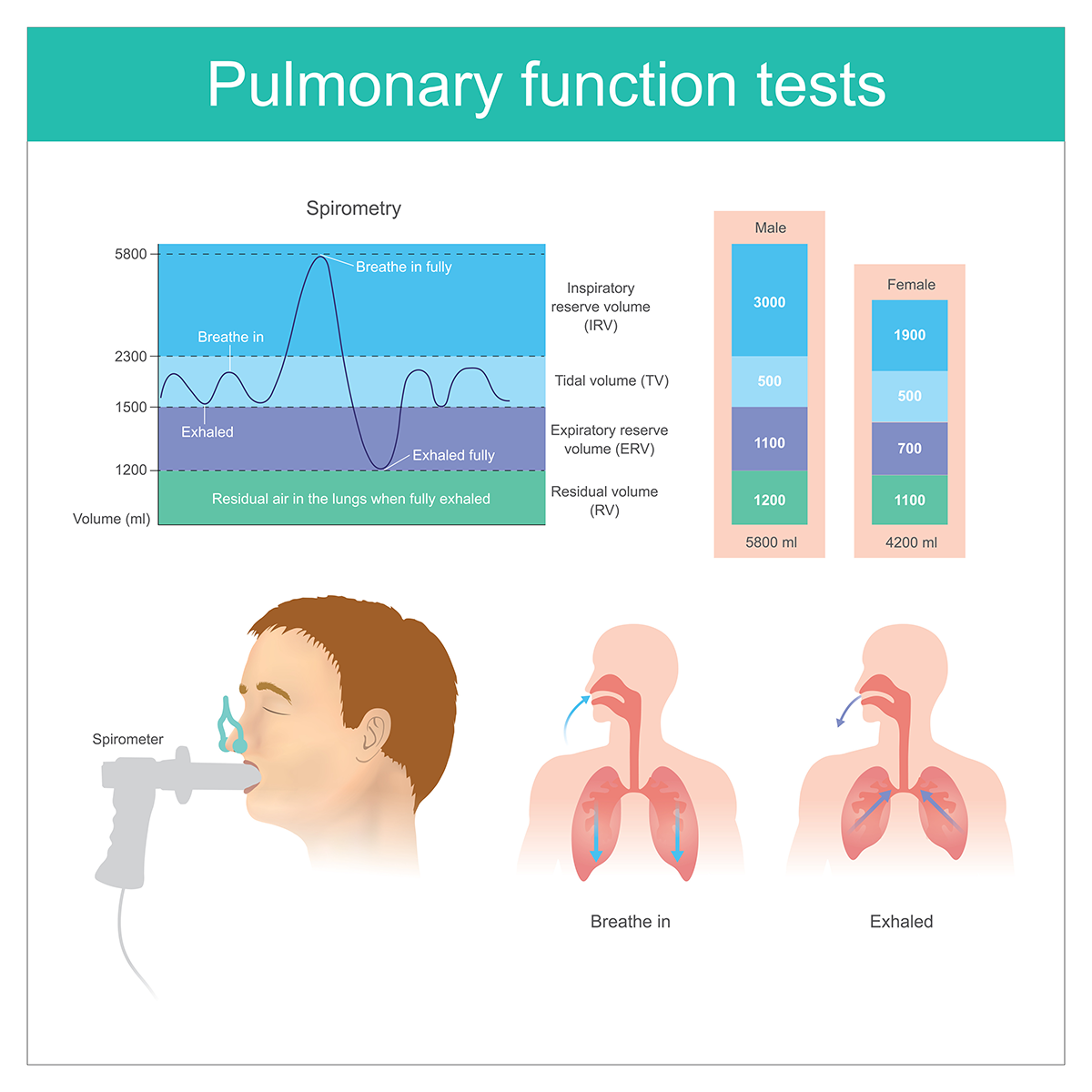 Spirometry testing