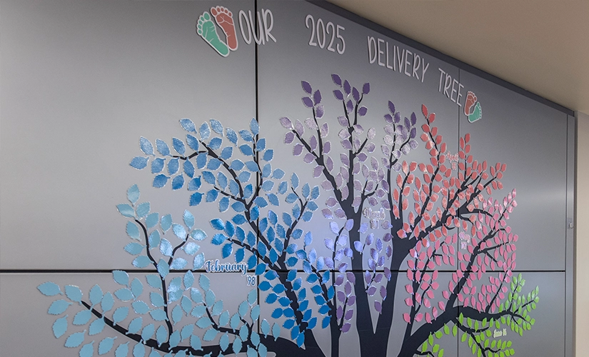 Hospital birthing center at Aurora Medical Center – Kenosha